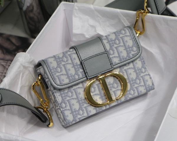 D*or 30 montaigne bag