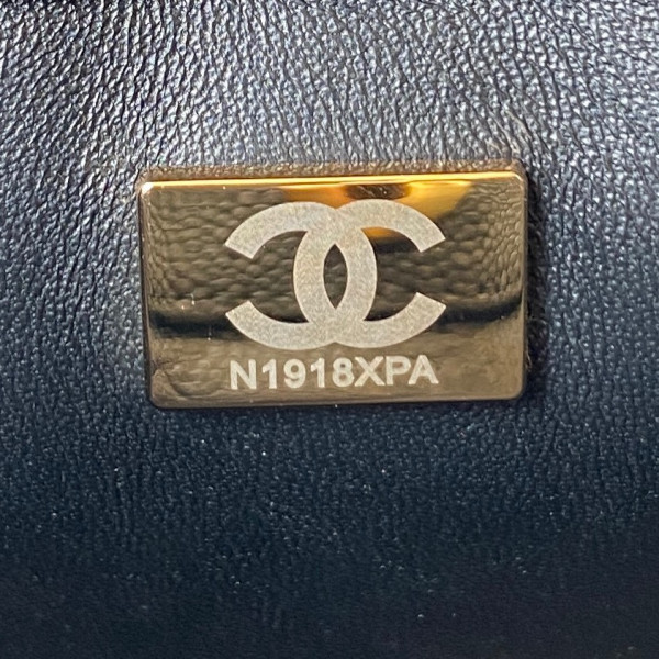 CL SMALL HOBO BAG
