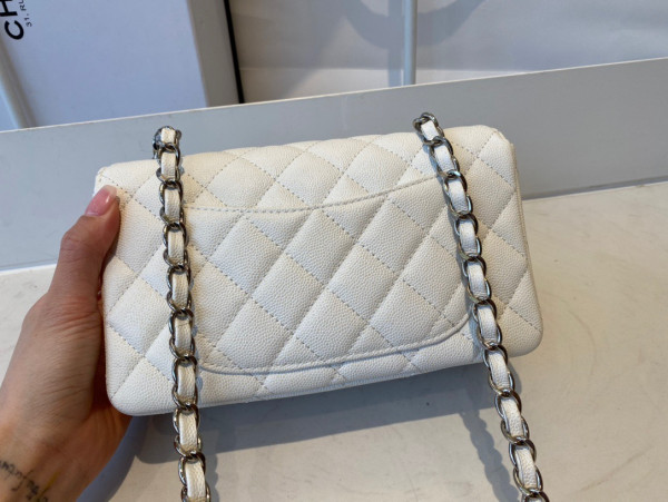 CL FLAP BAG 20CM