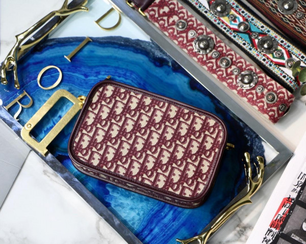 D*or oblique camera bag