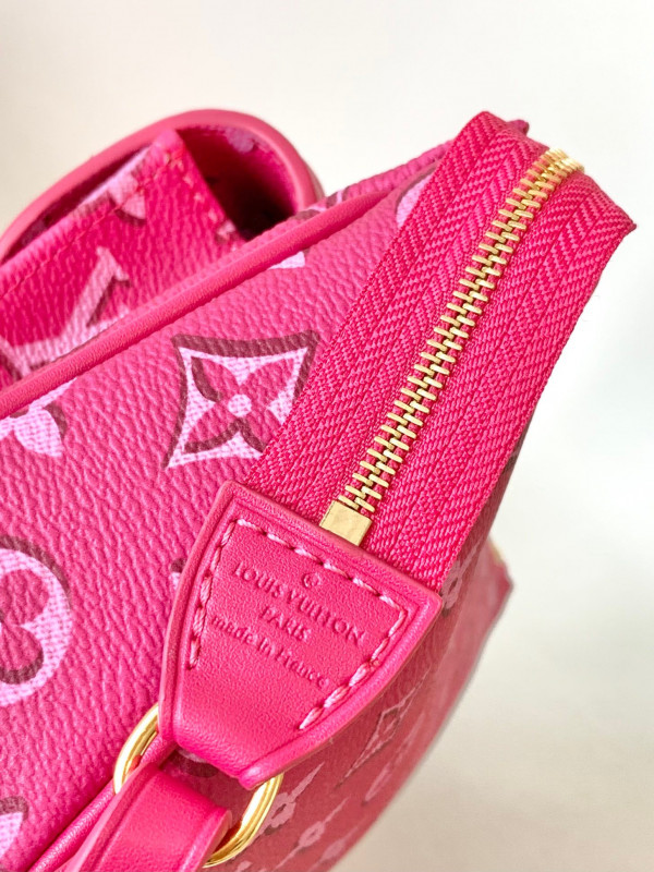 l**is V*t*n maxi multi pochette accessoires