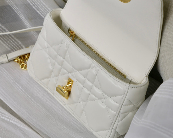 D*or small D*or caro bag