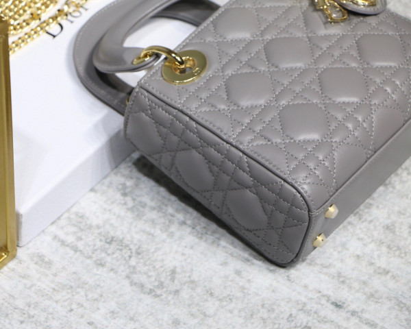 lady D*or mini with lambskin