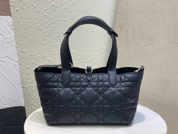 D*or small toujours bag