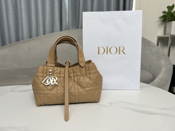 D*or small toujours bag