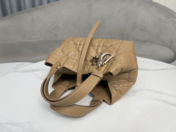 D*or small toujours bag