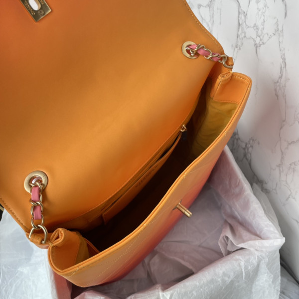 CL LARGE HOBO BAG