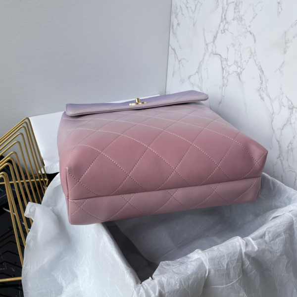 CL LARGE HOBO BAG