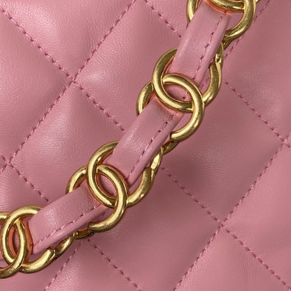 CL HOBO HANDBAG
