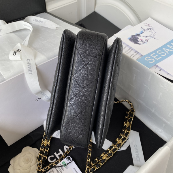 CL FLAP BAG